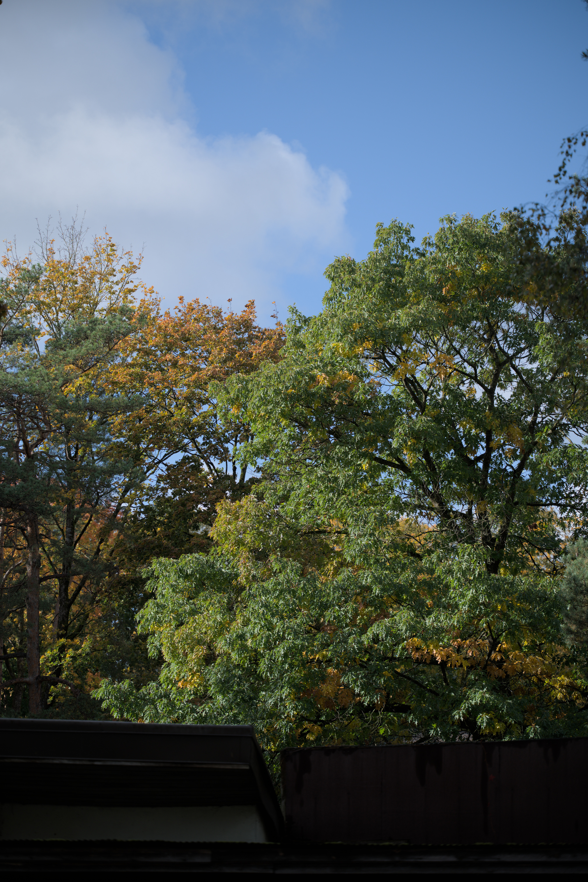 2025/10/12 - zoo/DSC_0304.jpg